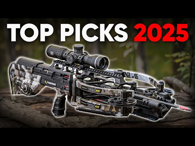 Top Crossbows of 2025 – Only 6 🏹 Worth Your Money!