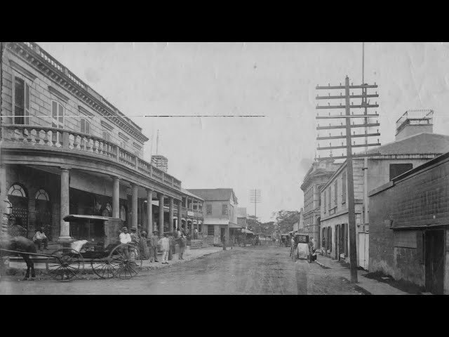 Historical Downtown Honolulu Tour 2024