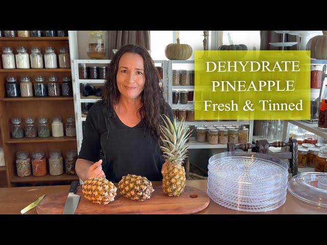 HOW TO DEHYDRATE PINEAPPLE FRESH and TINNED Using a Dehydrator / Dehydrated