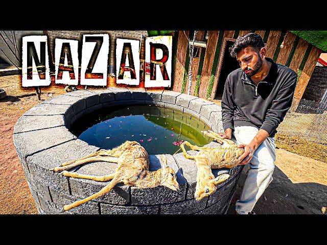 NAZAR IS REAL💔 ft. shehr main dihat | Turab and sabtain | Video editing |