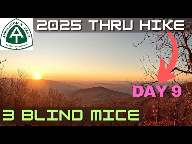 2025 Appalachian Trail Thru Hike Tray Mountain Shelter To Unicoi Gap Day 9 #appalachiantrail #hiking