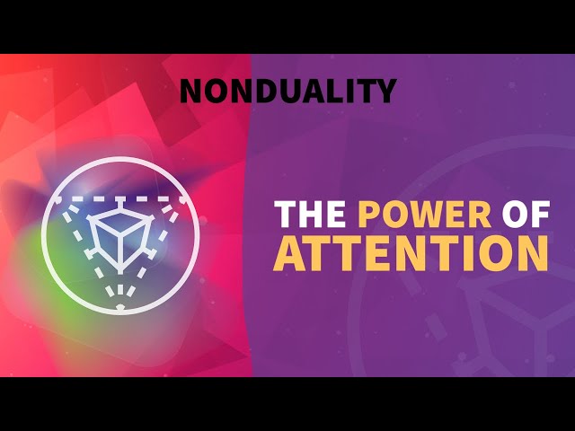 The power of attention | clip from the #nonduality podcast