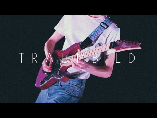 NO OSTRICHES | Traumbild (Official Video)