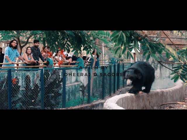 Indore ZOO || Cinematic Video || Dheeraj D Sagore