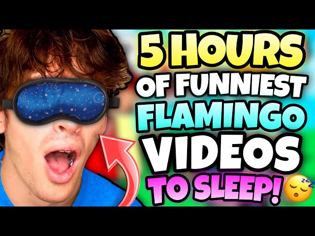 *5 HOURS* OF FLAMINGO TO FALL ASLEEP! (ROBLOX/MARATHON)