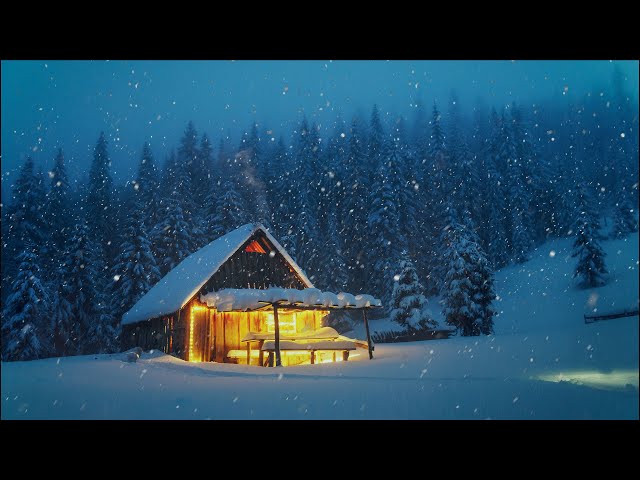 Snowfall in Winter - Relaxing Ambience, White Noise & Nature Sounds by Scenic Sound