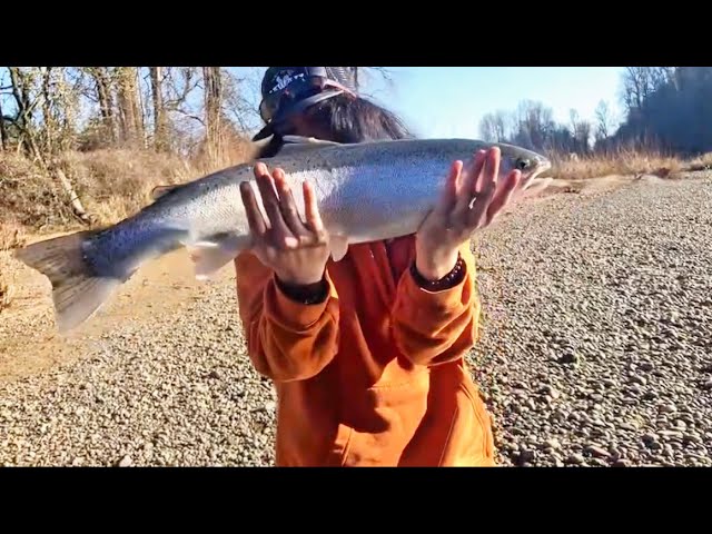 WINTER STEELHEAD ON ULTRALIGHT SETUP(SnowStorm)