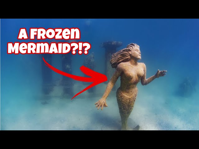 Top 8 WEIRDEST Things Ever FOUND in the Ocean!