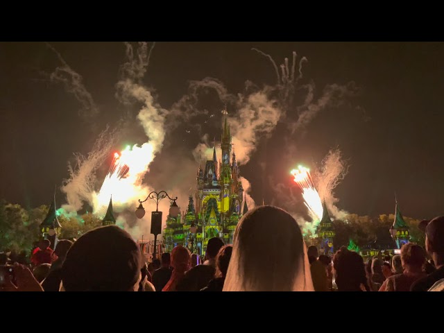 Happily Ever After Fireworks! | Witnessing Disney History