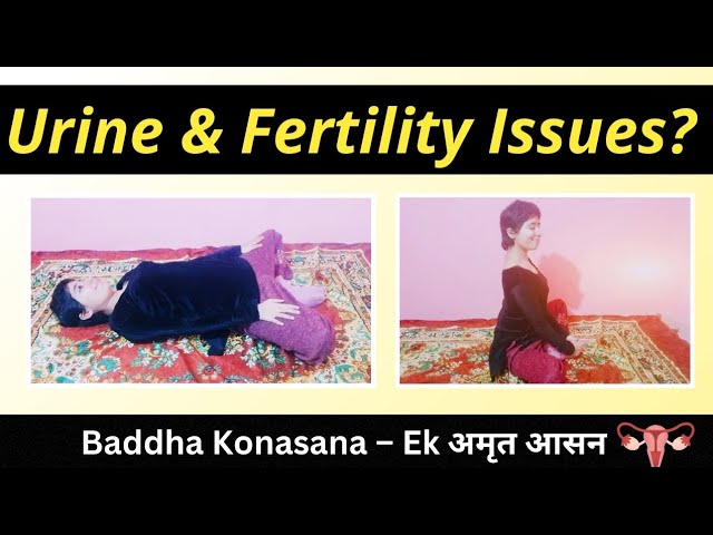 Baddha Konasana | बार-बार पेशाब, PCOD, Period Pain और Conceive में समस्या? रामबाण योग(Subtitles-Eng)