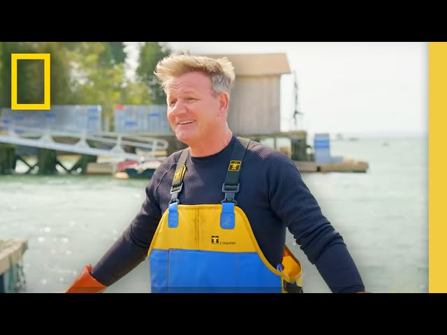 🔴 LIVE: Gordon Ramsay: Uncharted | Global Food Adventures (S3 FULL EPISODES) | National Geographic