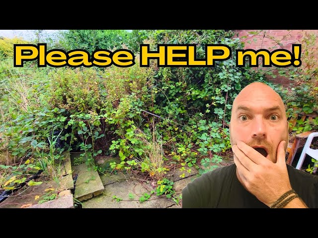 New Mum Needs Help With Her Garden! TOTAL OVERGROWN jungle | Of course I said yes | TRANSFORMATION