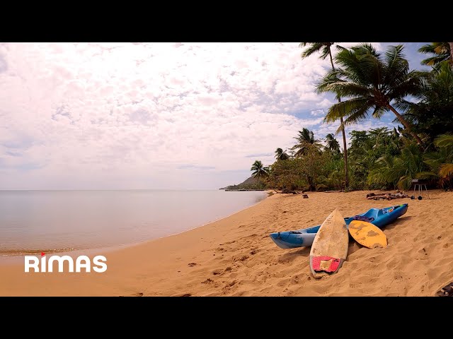 Bad Bunny (ft. Bomba Estéreo) - Ojitos Lindos (360° Visualizer) | Un Verano Sin Ti