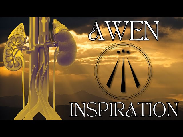 Awen (pt1) - Inspiration, the kidneys, and the Adrenal Cortex.