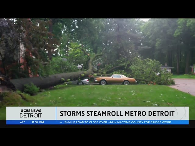 Storms down trees, leave damage throughout southeast Michigan