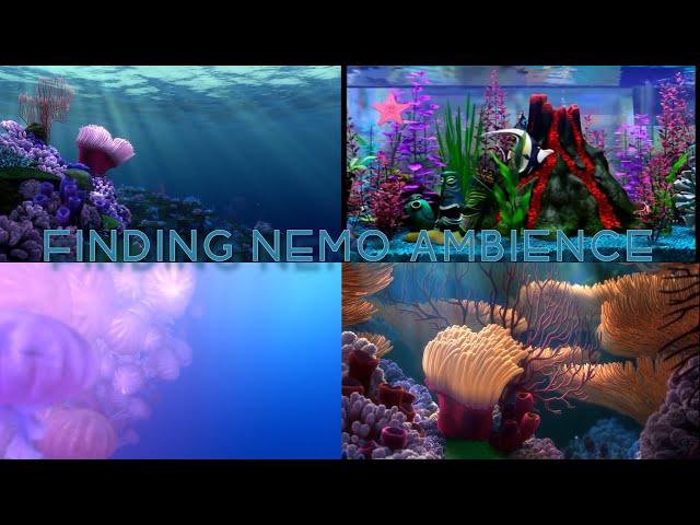 Finding Nemo Ambience