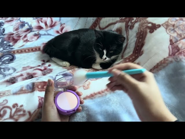 ASMR Doing My Kittens Makeup