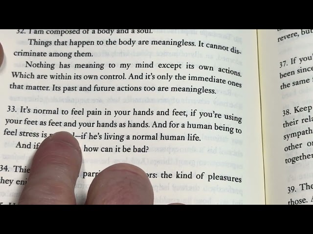 Marcus Aurelius on Pain