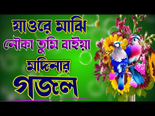 যাওরে মাঝি নৌকা তুমি বাইয়া মদিনার গজল 🔥 Islamic gojol bangla 🔥 Notun gojol 2024 🔥 Gojol 2024 🔥