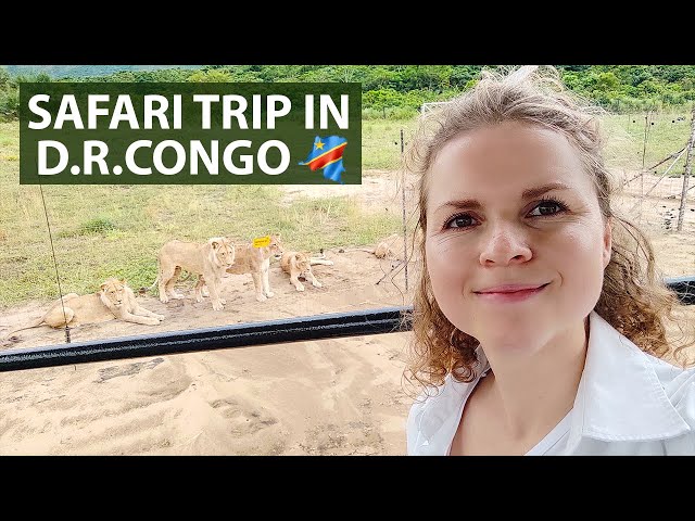 Beautiful Safari Tour 🦛🏞️🦁in Central Africa, D.R.Congo 🇨🇩 (+ Русские субтитры)