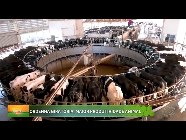 Ordenha giratória: produção de leite cresce em MG