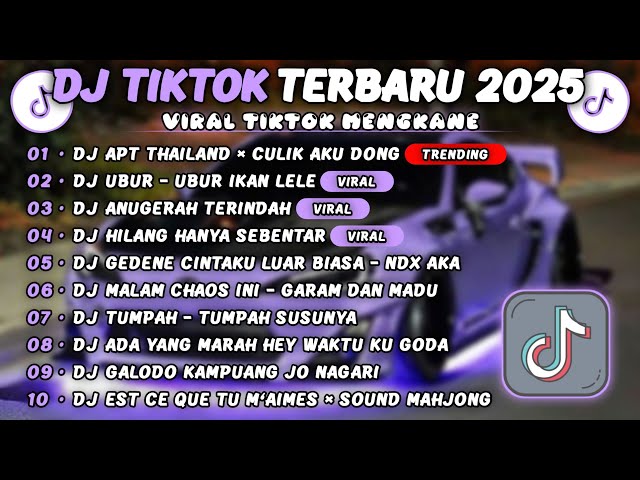 DJ TIKTOK TERBARU 2025 || DJ APT THAILAND × CULIK AKU DONG 🎵 DJ UBUR - UBUR IKAN LELE 🎵 FULL ALBUM❗❗