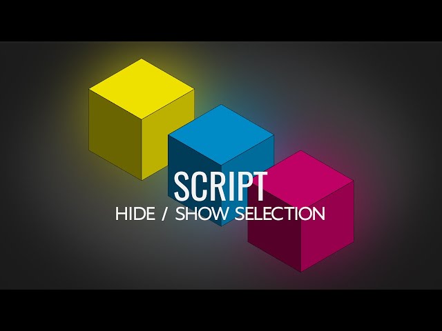 Script: Hide / Show Selection