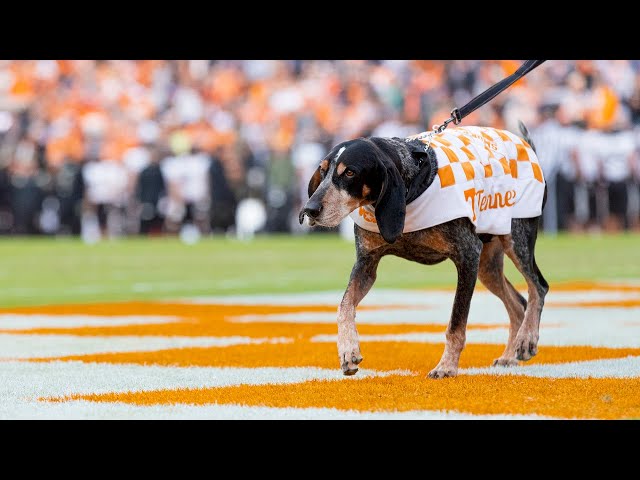 Tennessee Traditions: Smokey