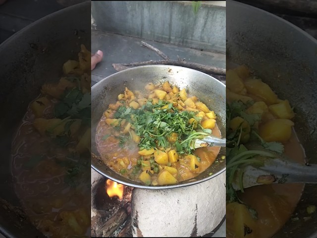 Village cooking #chulekakhana #trending #recipe #rajasthanikhana #gav #pind #gav aale #viralshorts