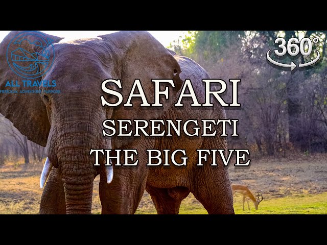 Serengeti National Park The Big Five | Immersive Experience