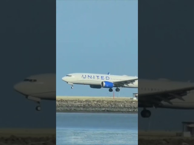 🇺🇸 United Airlines | San Francisco International Airport #aviationdaily