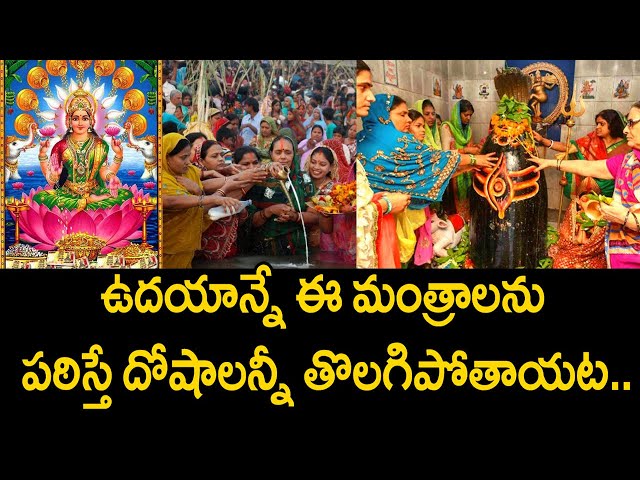 ఈ 4 సంకేతాలు మీకు కనిపిస్తే లక్ష్మీదేవి మీ తిష్టవేసుకుని కూర్చుంటుంది అర్ధం. lakshmi devi anugraham