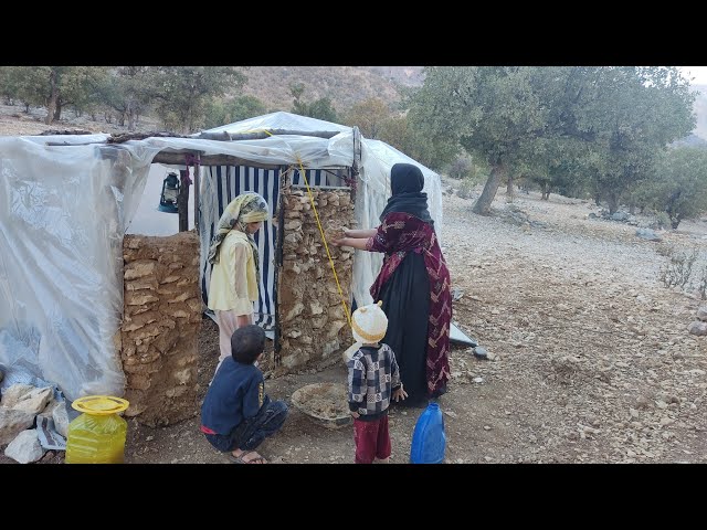 Collecting oak and making cottage windows:  together with Zahra and her children