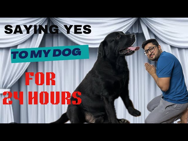 Saying Yes To My Dog For 24 Hours Challenge | Meri Sabse Badi Galti