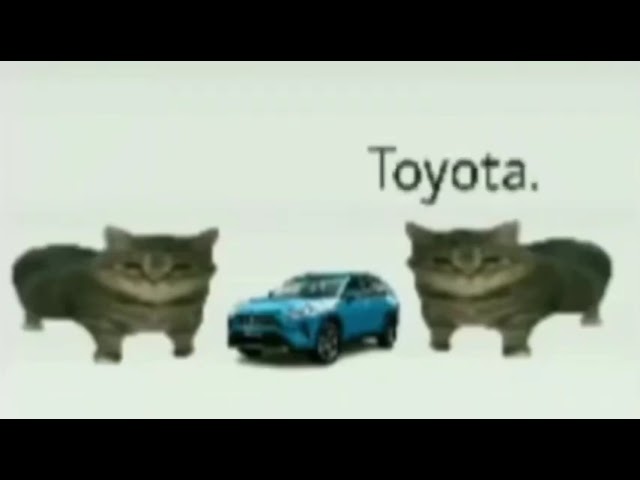 Toyota gatos meme😍🐈