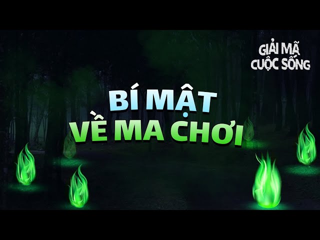 Bí mật về "ma chơi" | VTV24