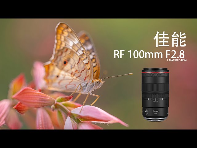 浅谈佳能RF100毫米F2.8微距镜头 | A Quick Review on Canon RF 100mm Macro