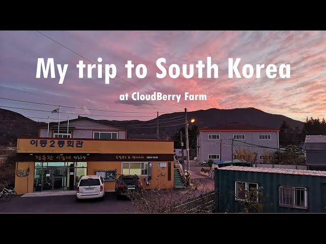 My trip in South Korea at CloudBerry Farm