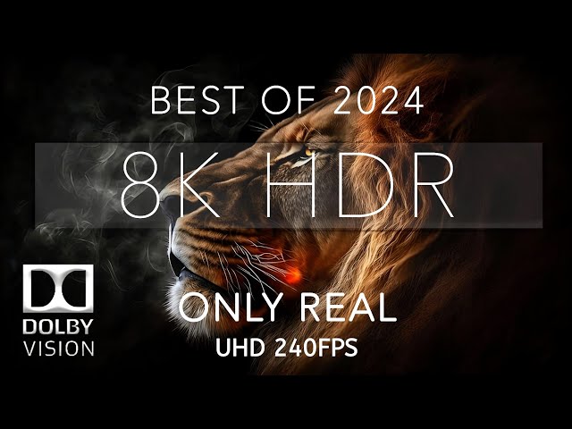 8K Video ULTRA HD 240 fps | Best of 8K HDR Dolby Vision