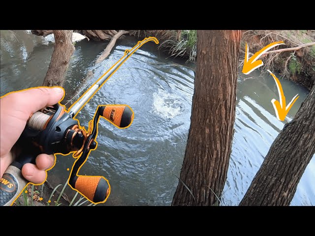 INSANE CREEK FISHING IN TIGHT STRUCTURE!