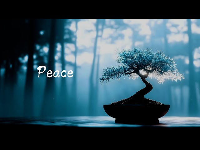 🌟 Serene Glow of Bonsai | Relaxing Vibes to Help You Escape and Unwind from the World 🎶