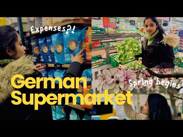 Grocery ഷോപ്പിംഗ് എത്ര ചിലവ് വരും?  Supermarket Expenses in Germany🇩🇪 | Malayalam Vlog