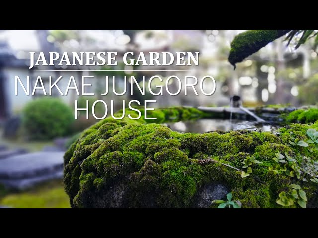 Japanese Garden in Donketsu-style | Garden of a wealthy merchant | NAKAE JUNGORO HOUSE