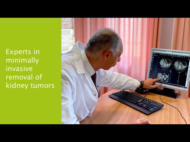 Kidney tumor: treatment in the Döbling Private Hospital, Vienna, Austria