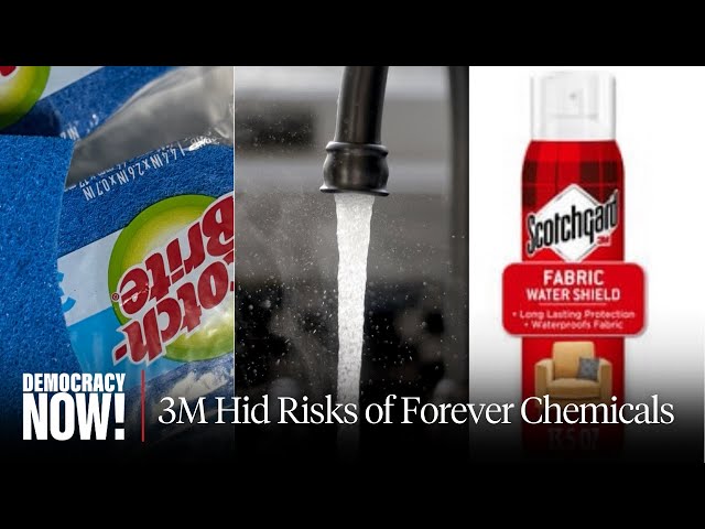 PFAS Cover-Up: How 3M Hid Risks of Forever Chemicals & "Gaslit" Scientist Who Tried to Sound Alarm