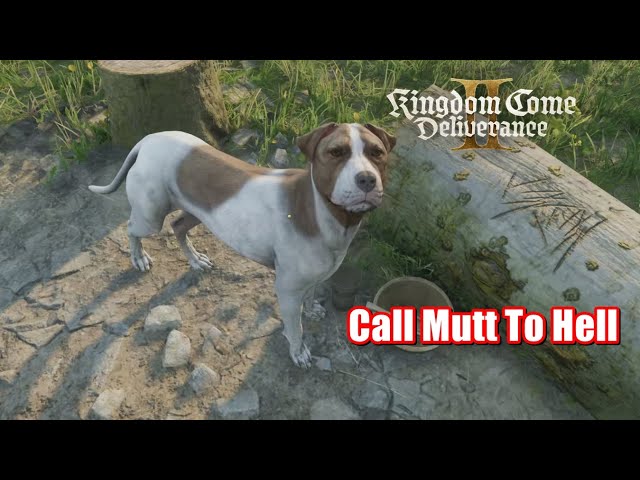 Kingdom Come Deliverance 2 - Find Out From Sir Hans What The Plan Is ( Call Mutt to Hell )