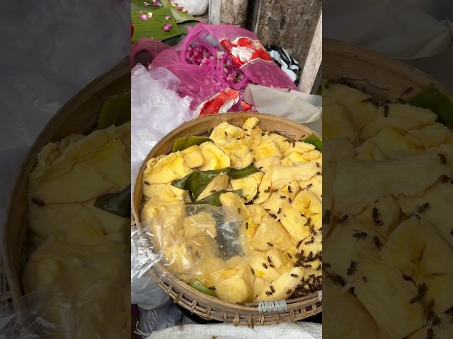 JUALAN TAPE BANYAK LEBAH MADUNYA #kulinerviral #kulinernusantara