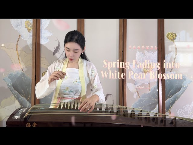 Spring Fading into White Pear Blossom芳菲落尽梨花白 | Guzheng by Feifei Lin