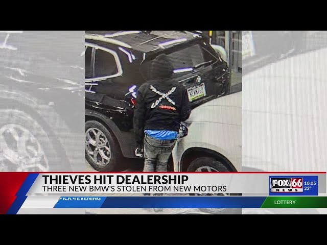 Three cars stolen from Peach Street dealership: PSP