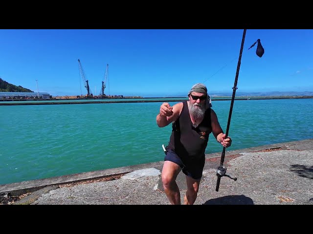 Fish at the Cut & Lambs Tails Gisborne New Zealand